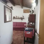 Cardinali * Asís