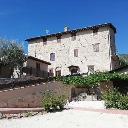 Cardinali
