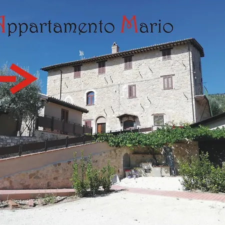 Cardinali Apartman *