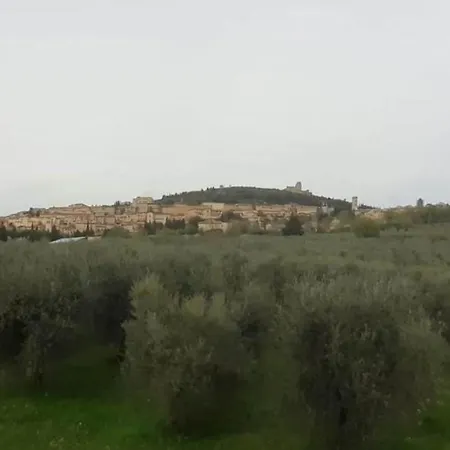 Apartment Cardinali