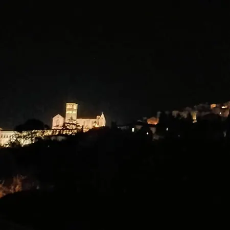 Cardinali Asís