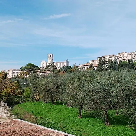 Cardinali Apartman