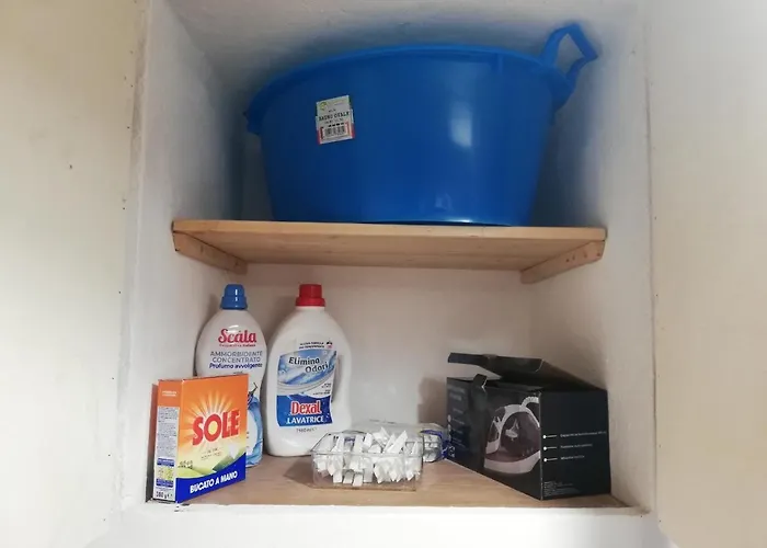 Cardinali * 아시시